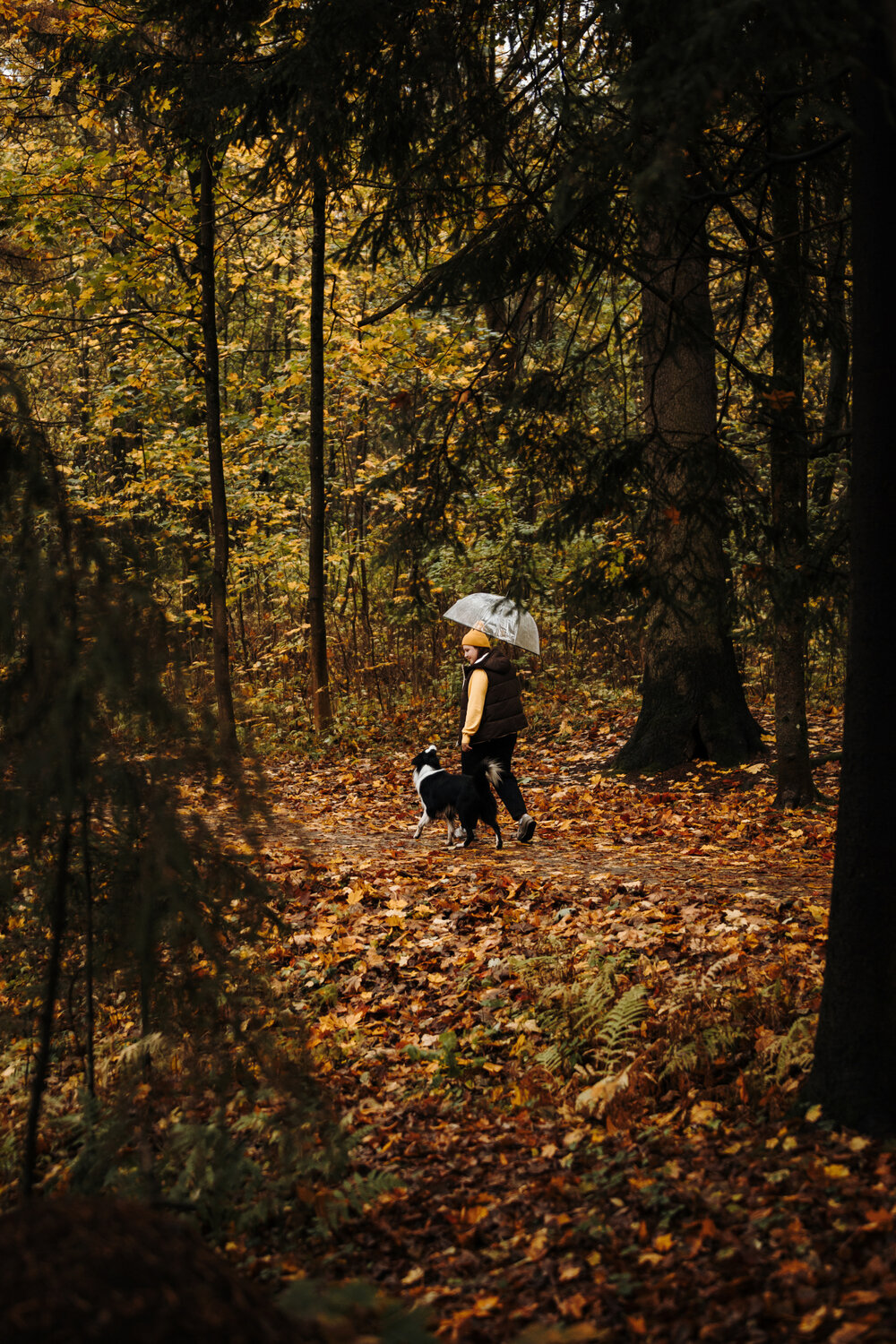 Photo #14211034