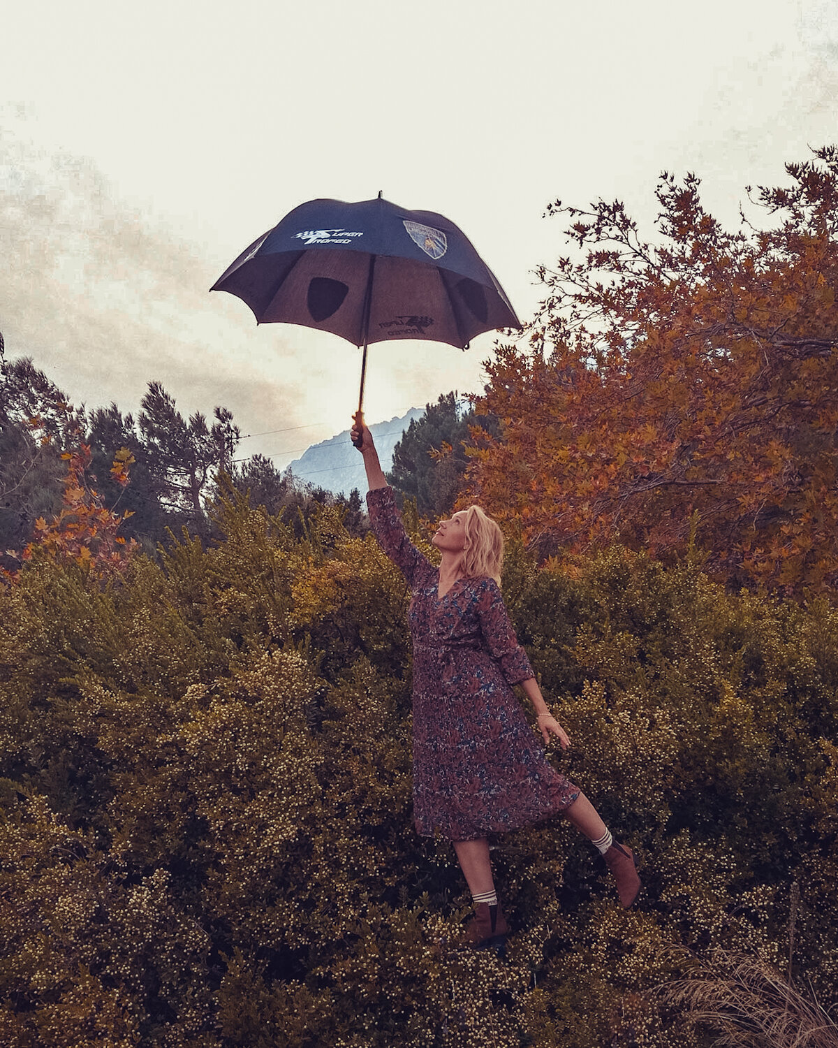 Photo #14211258