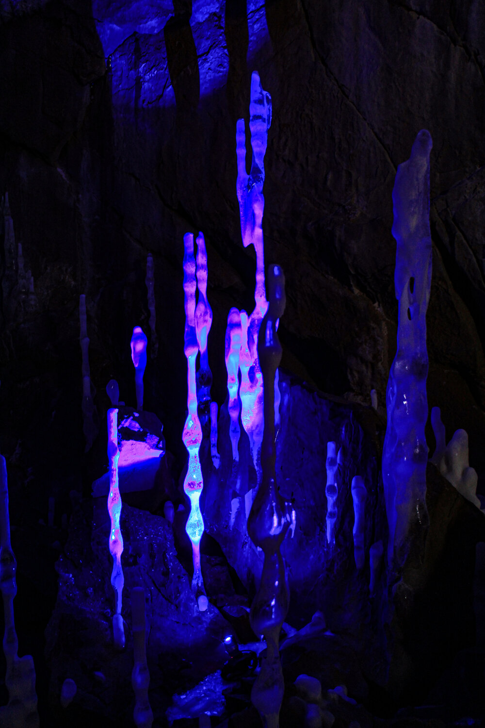 Photo #14212232