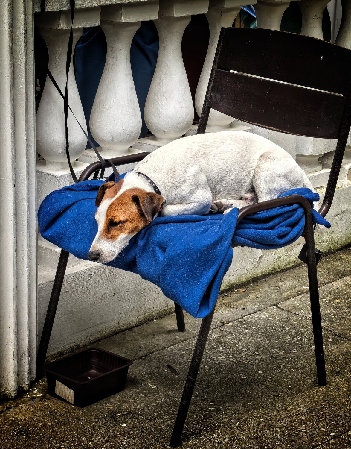 Photo #14212282