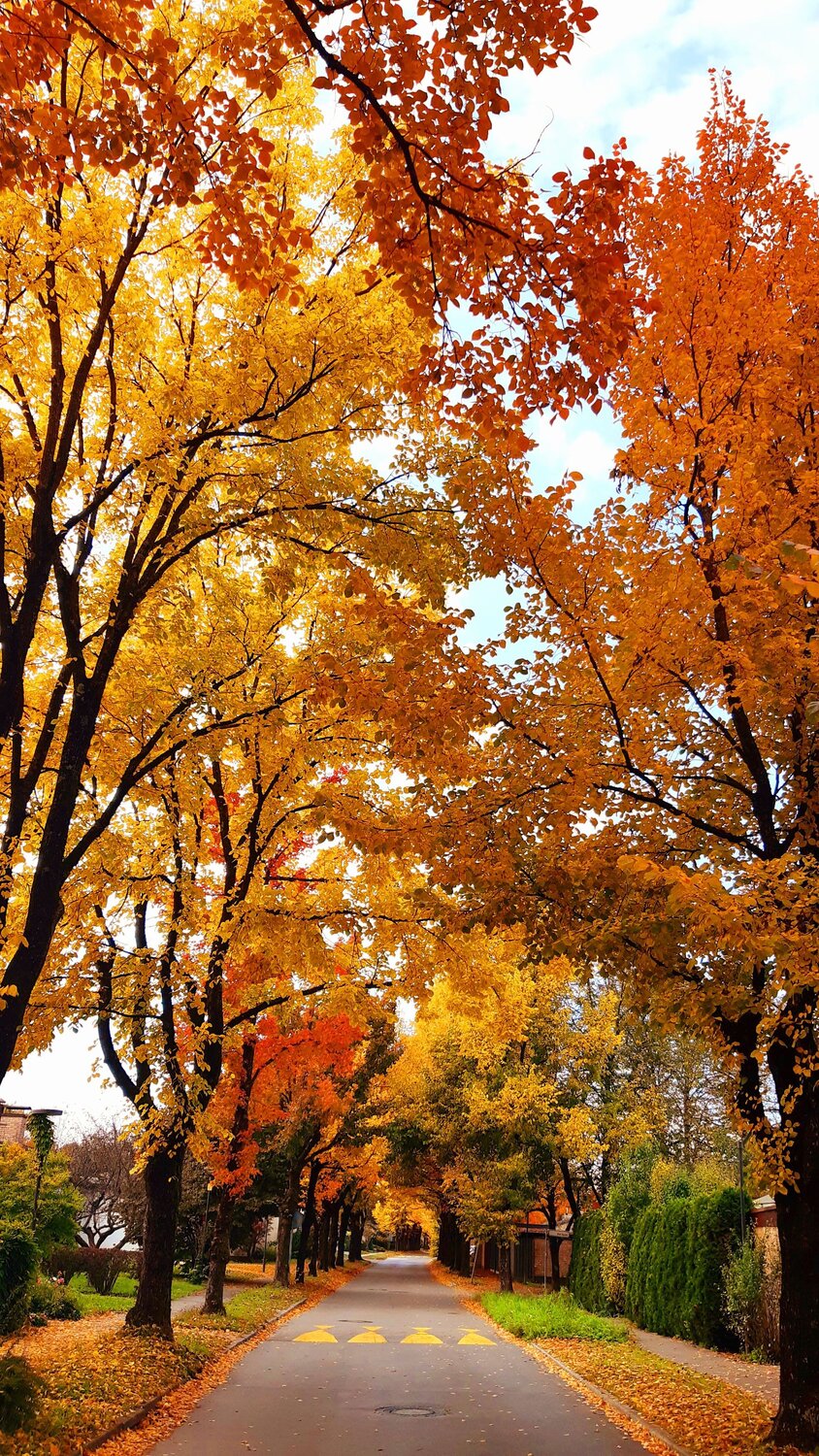 Photo #14212428