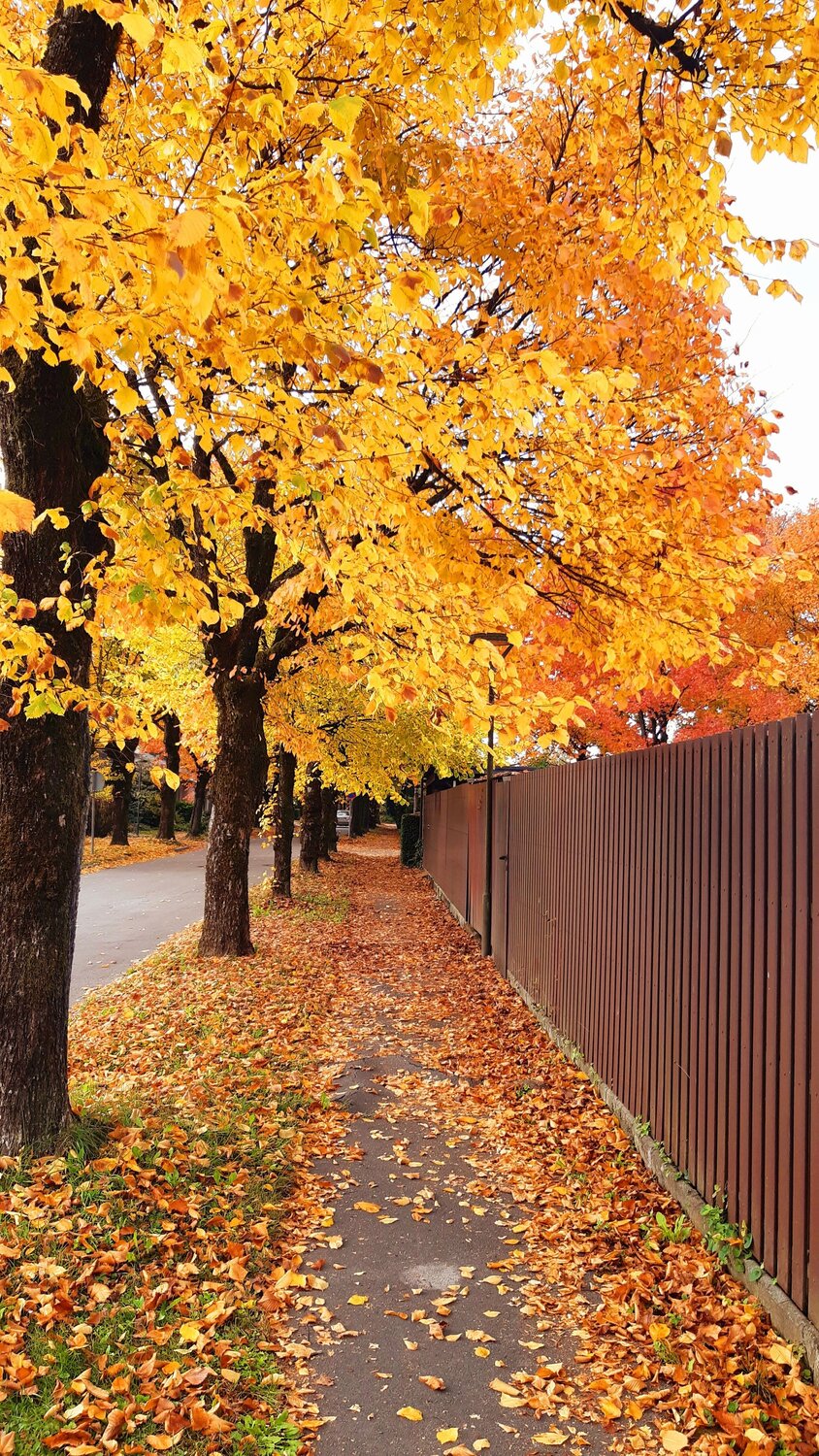 Photo #14212442
