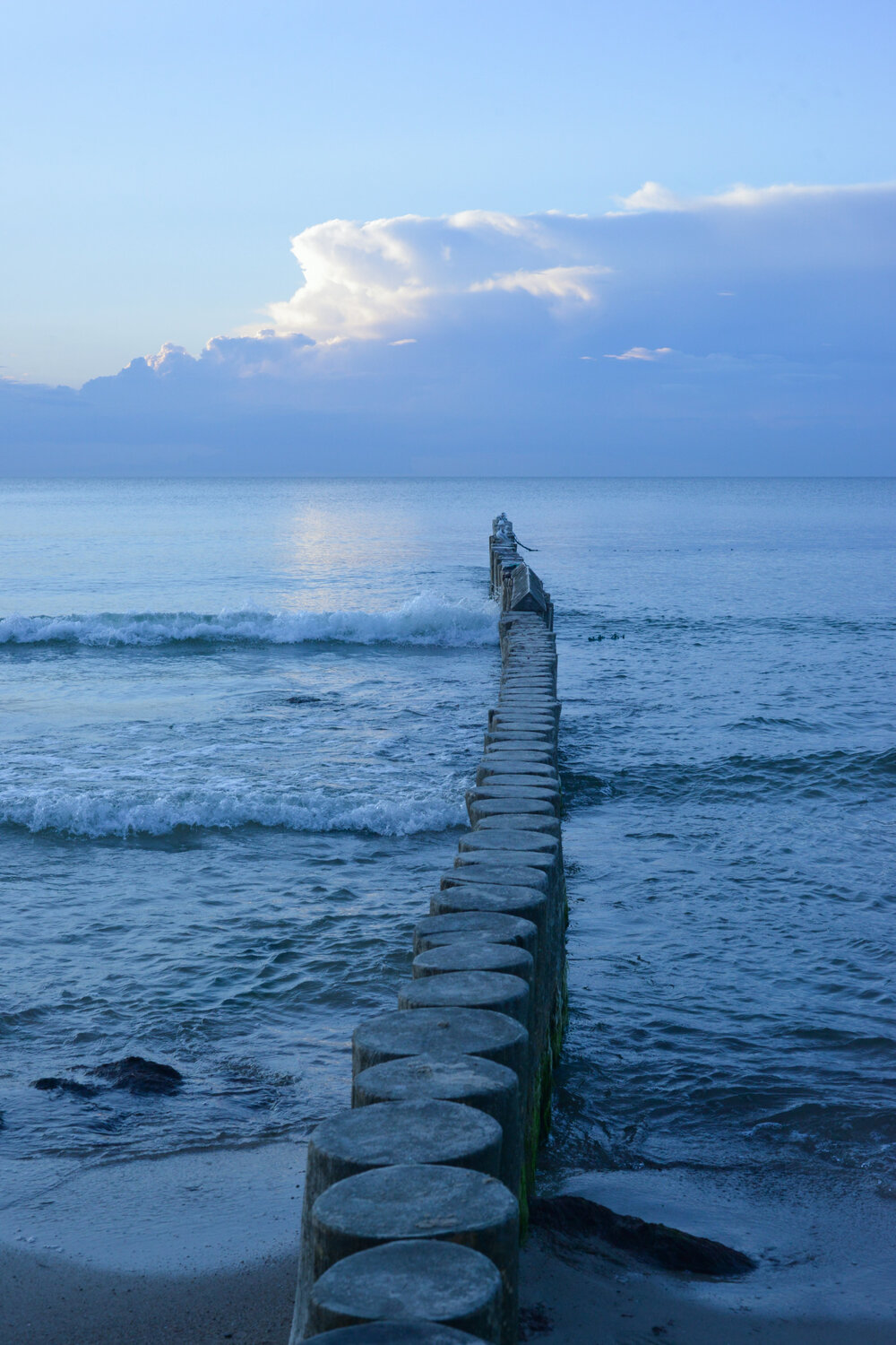 Photo #14212482