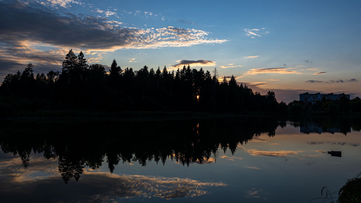 Photo #14212572