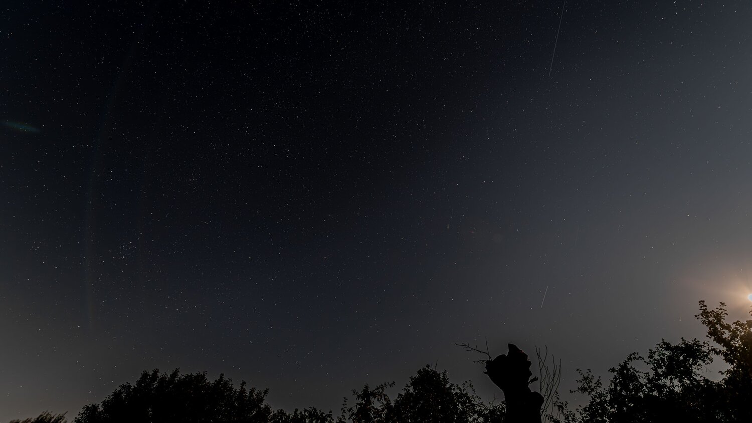 Photo #14212576