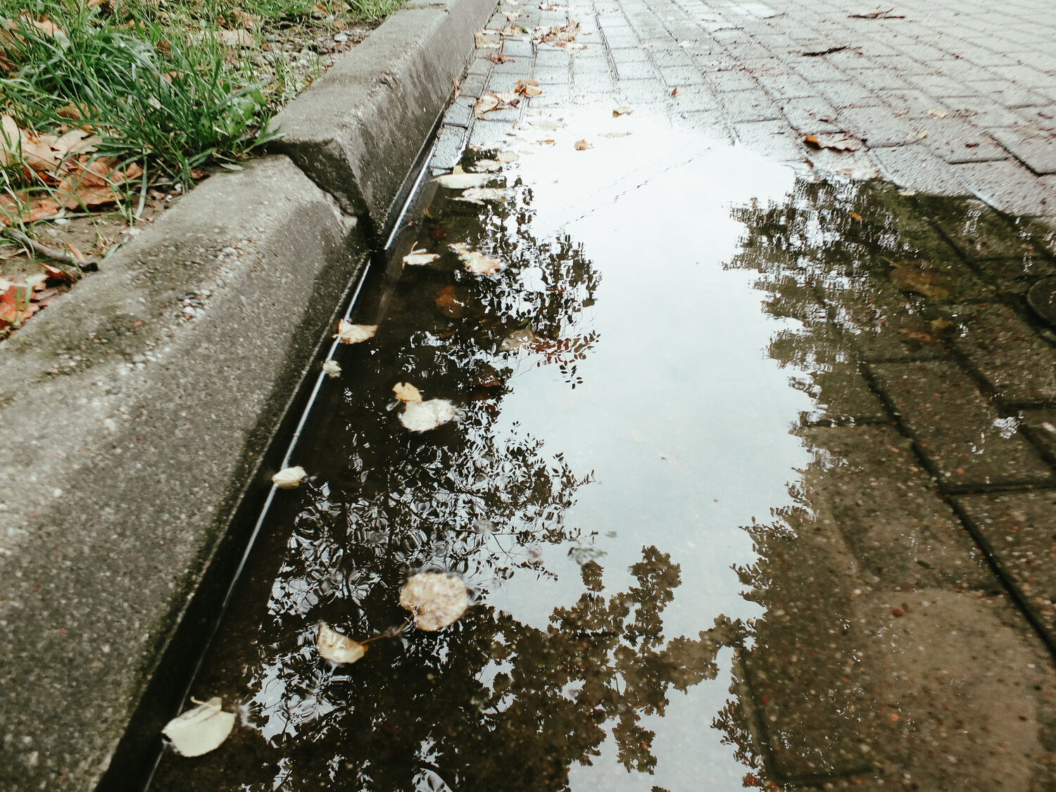 Photo #14213007