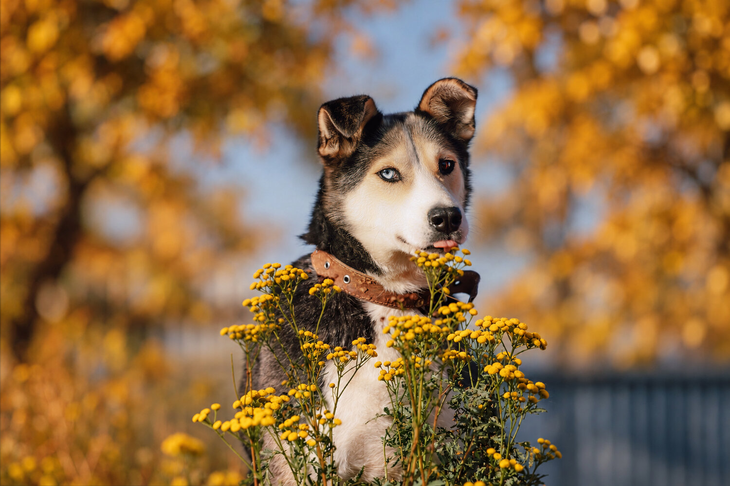 Photo #14213274
