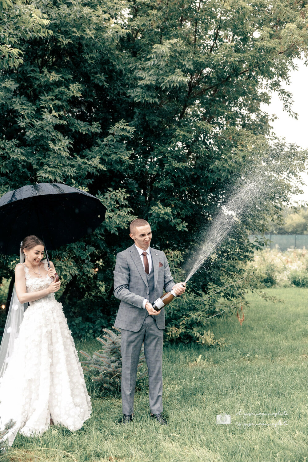 Photo #14213646