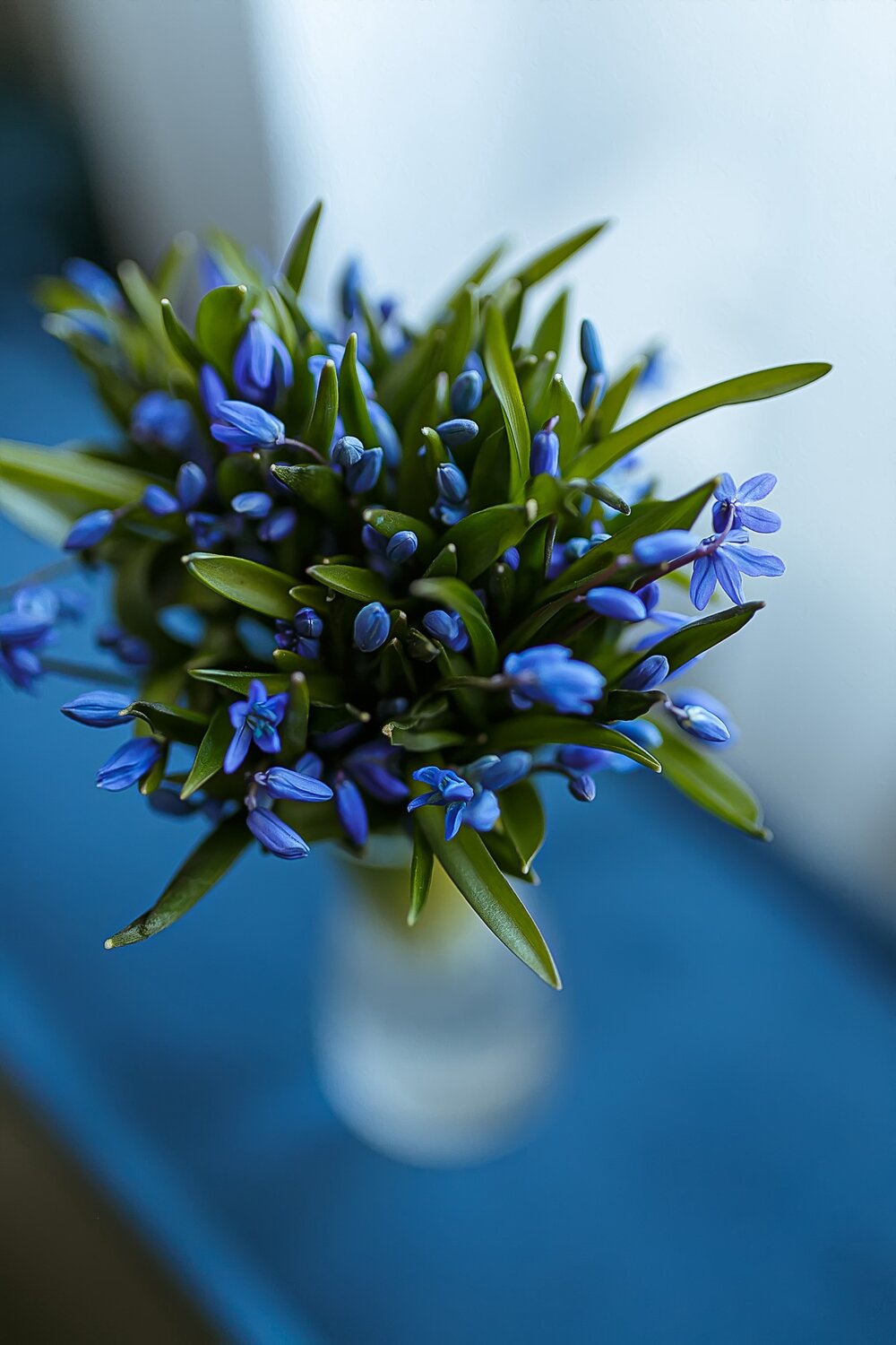 Photo #14213760