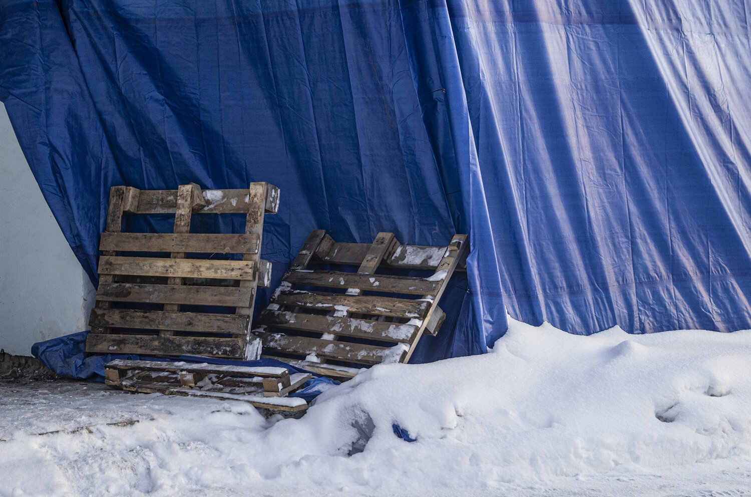 Photo #14213872