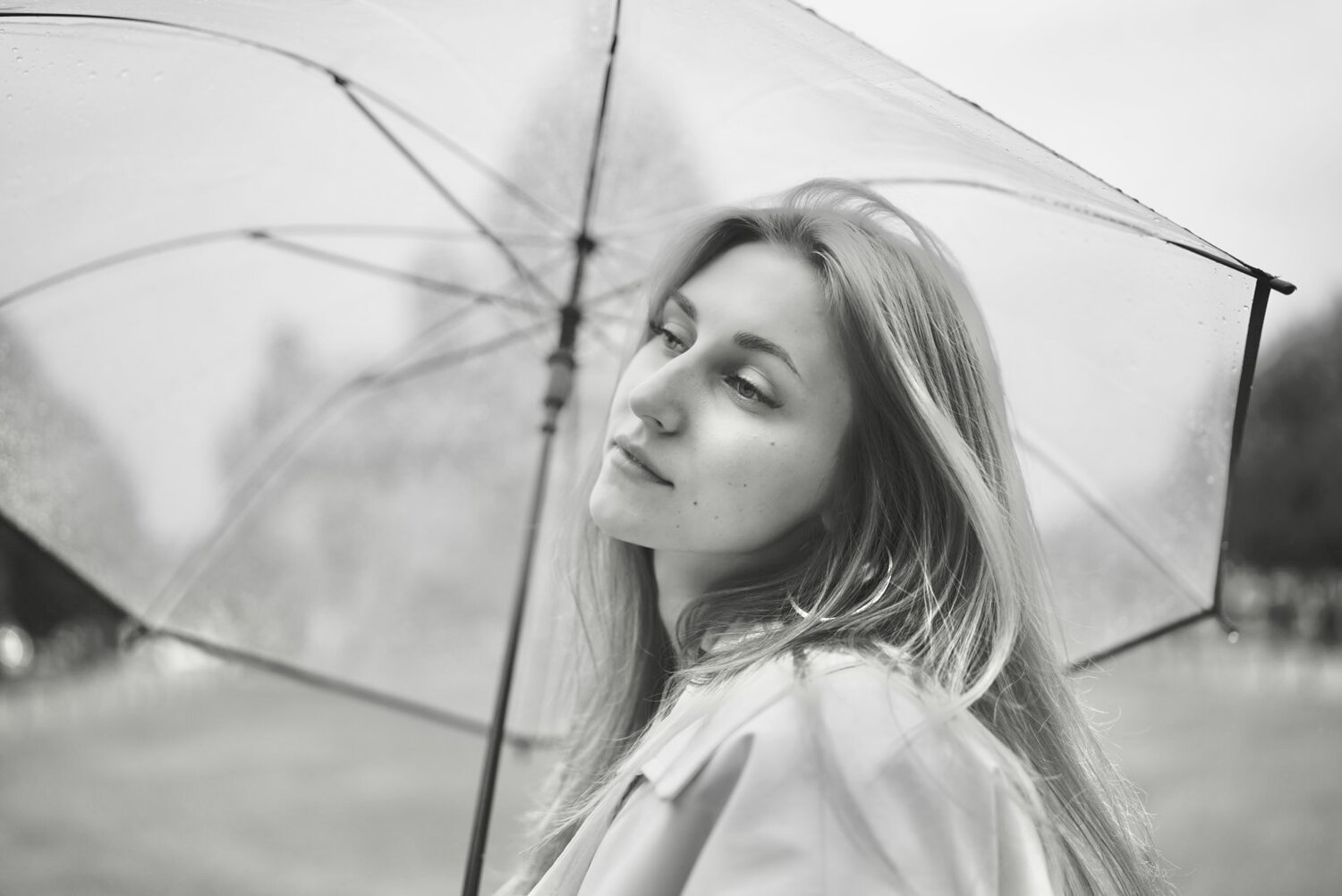 Фотография #14213965