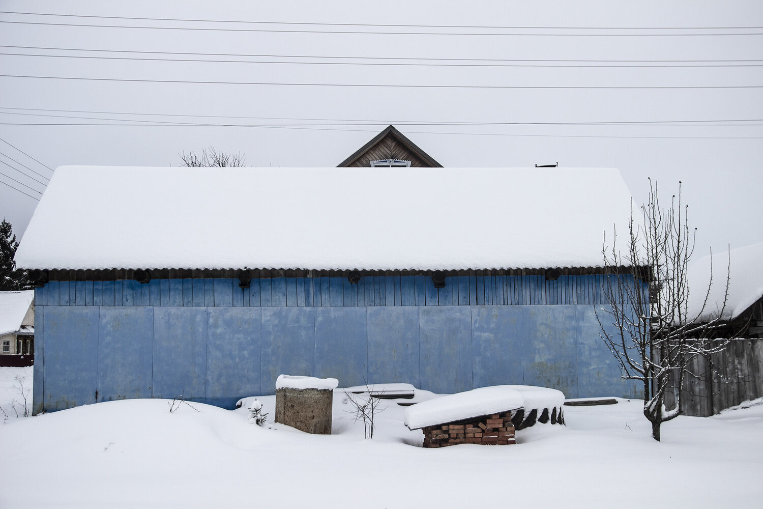Photo #14214017
