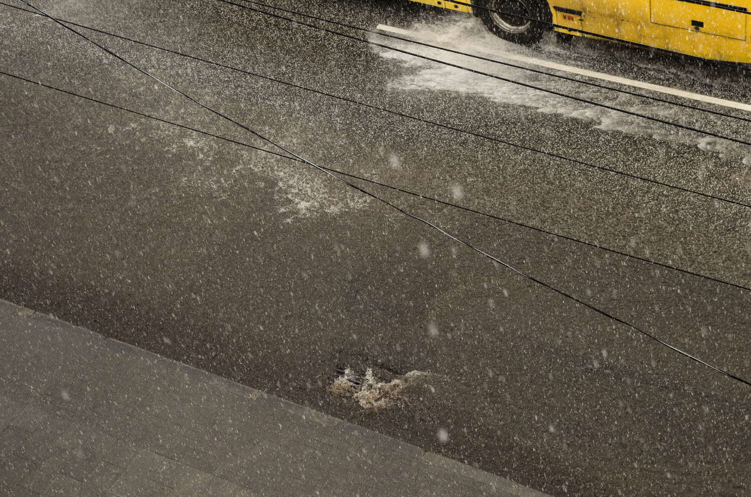 Photo #14214048