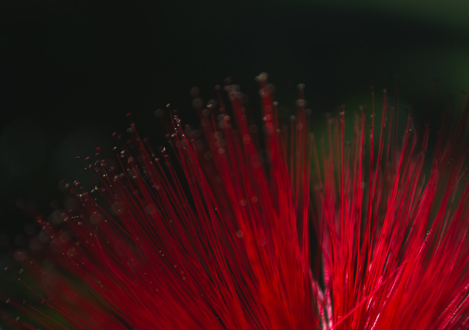 Photo #14214306
