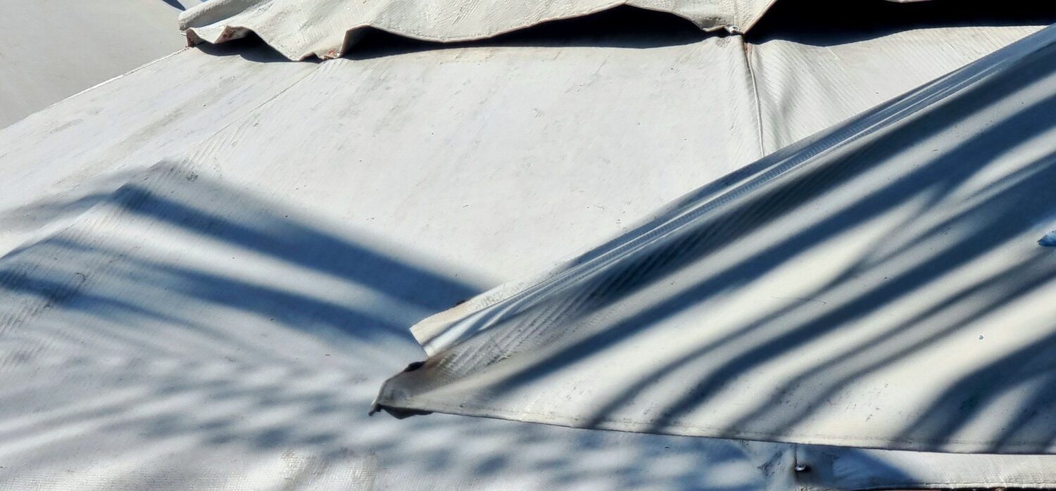 Photo #14214567