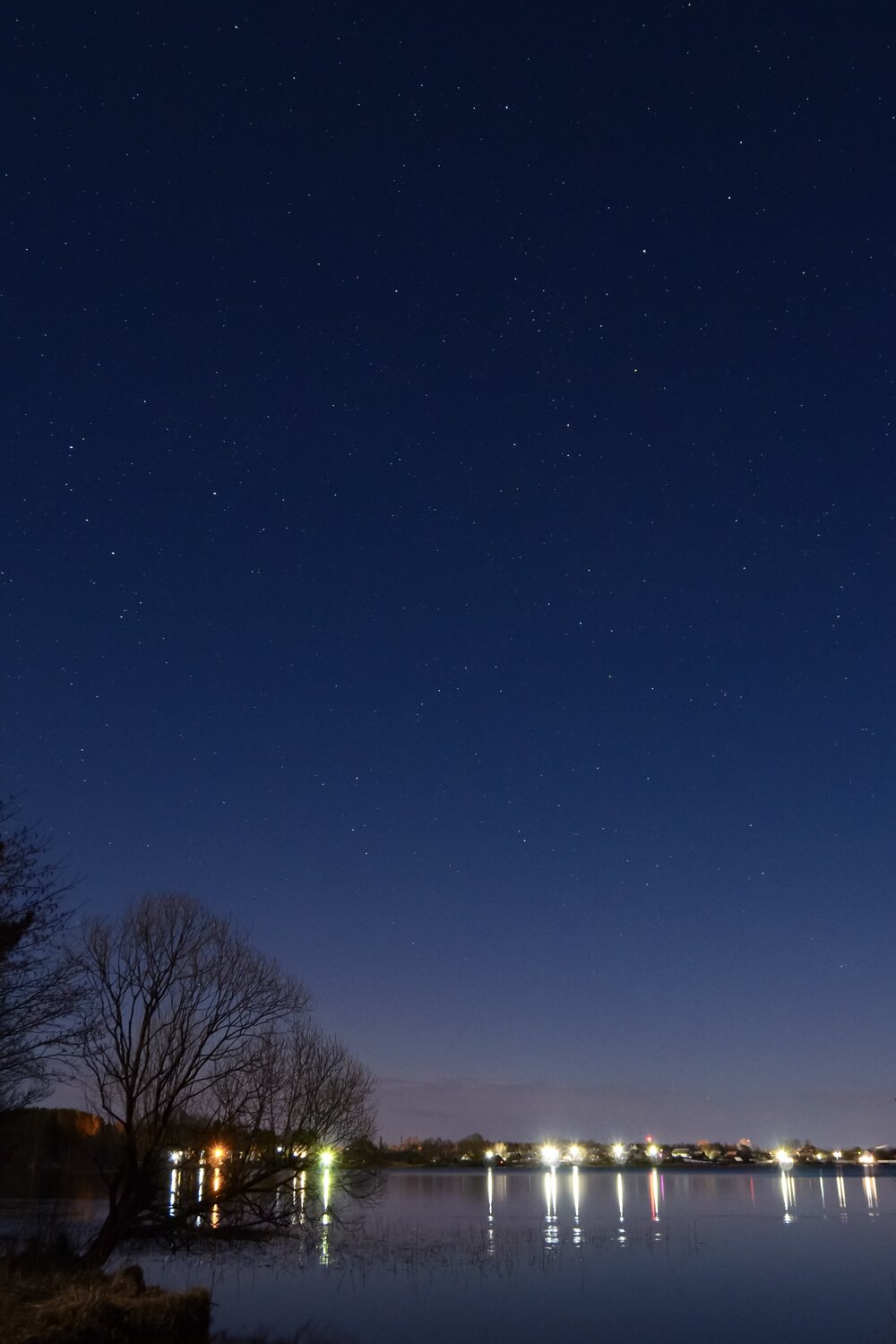 Photo #14215009