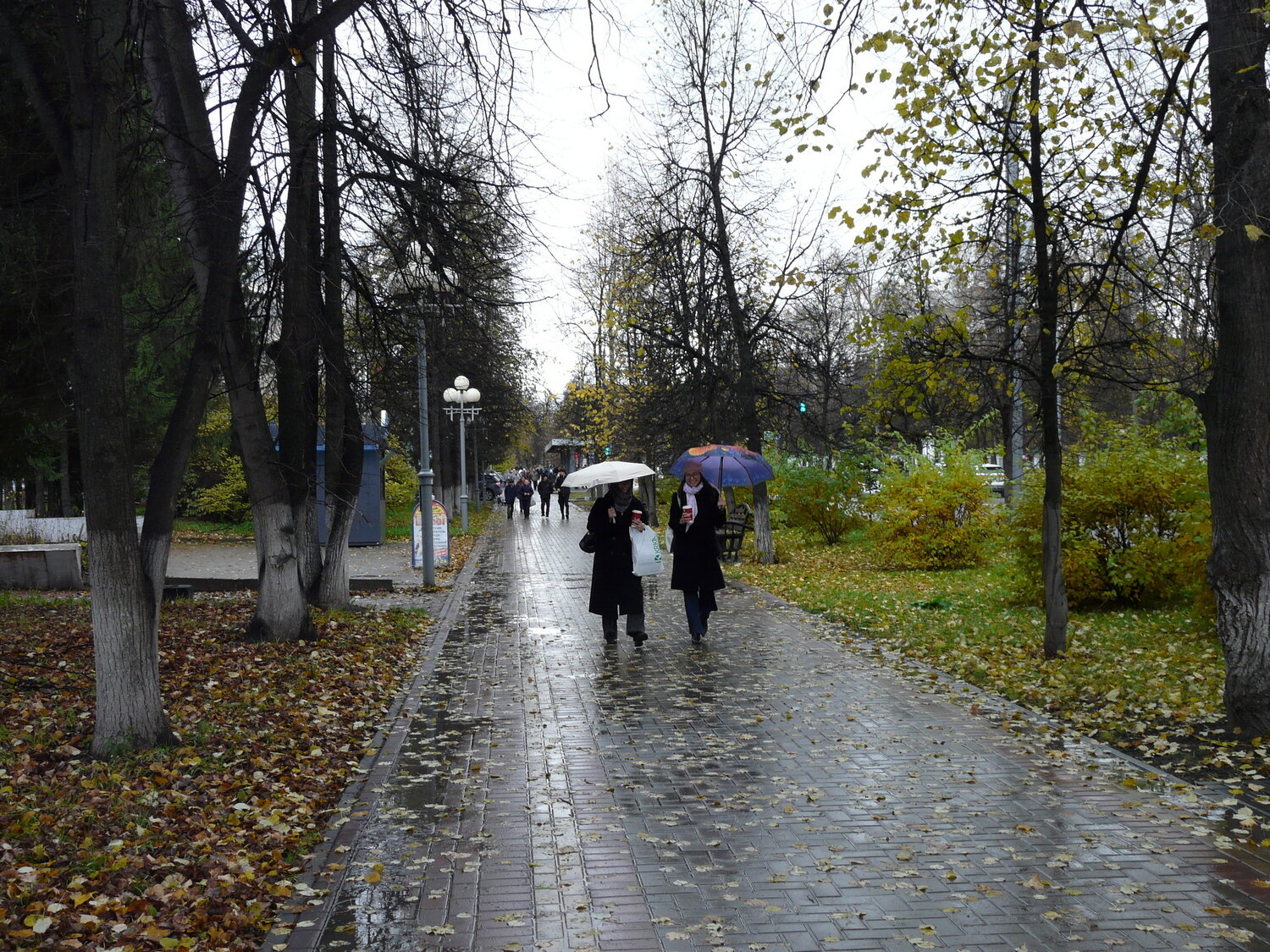 Photo #14215612