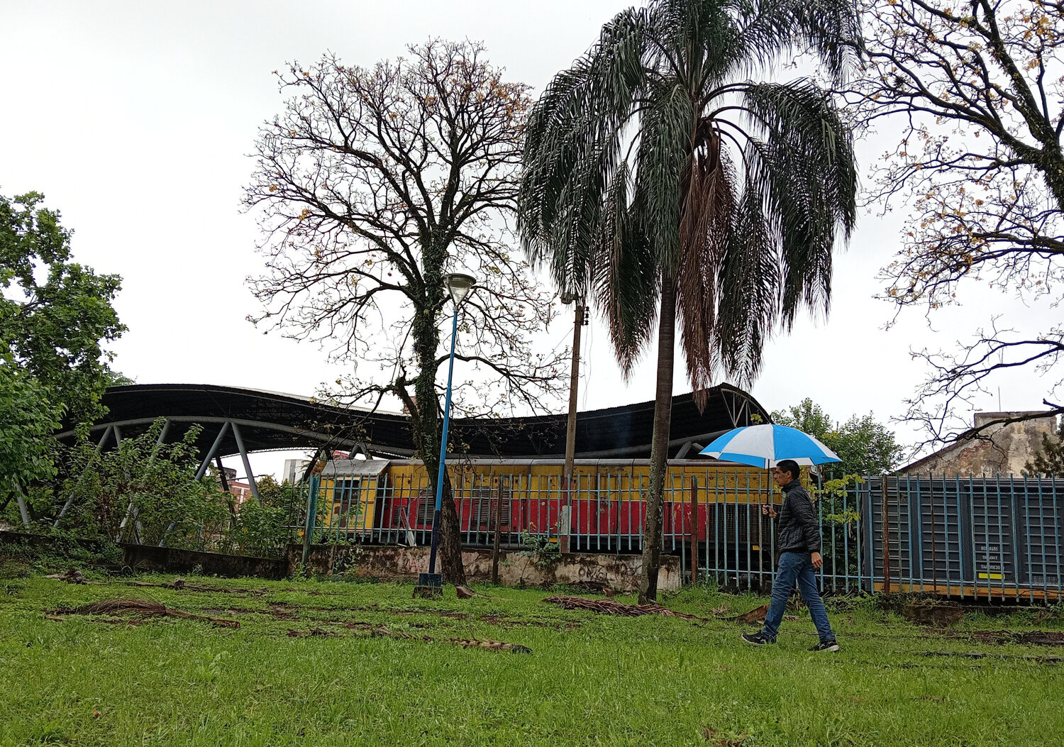 Photo #14215776