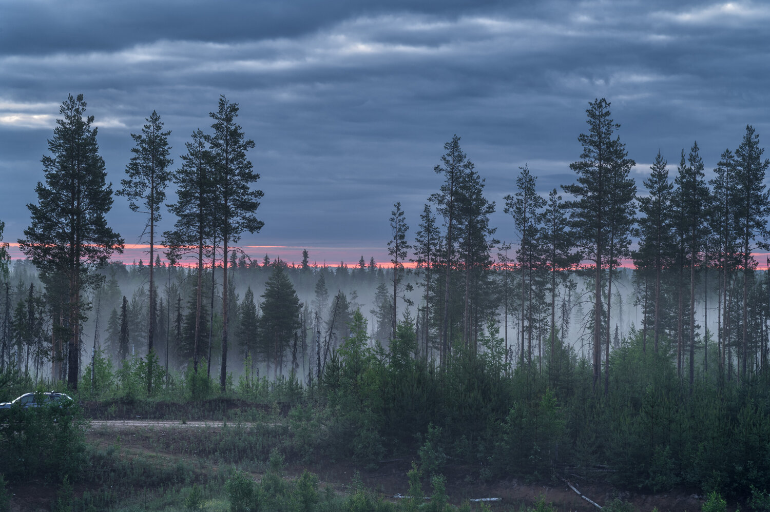 Photo #14216304