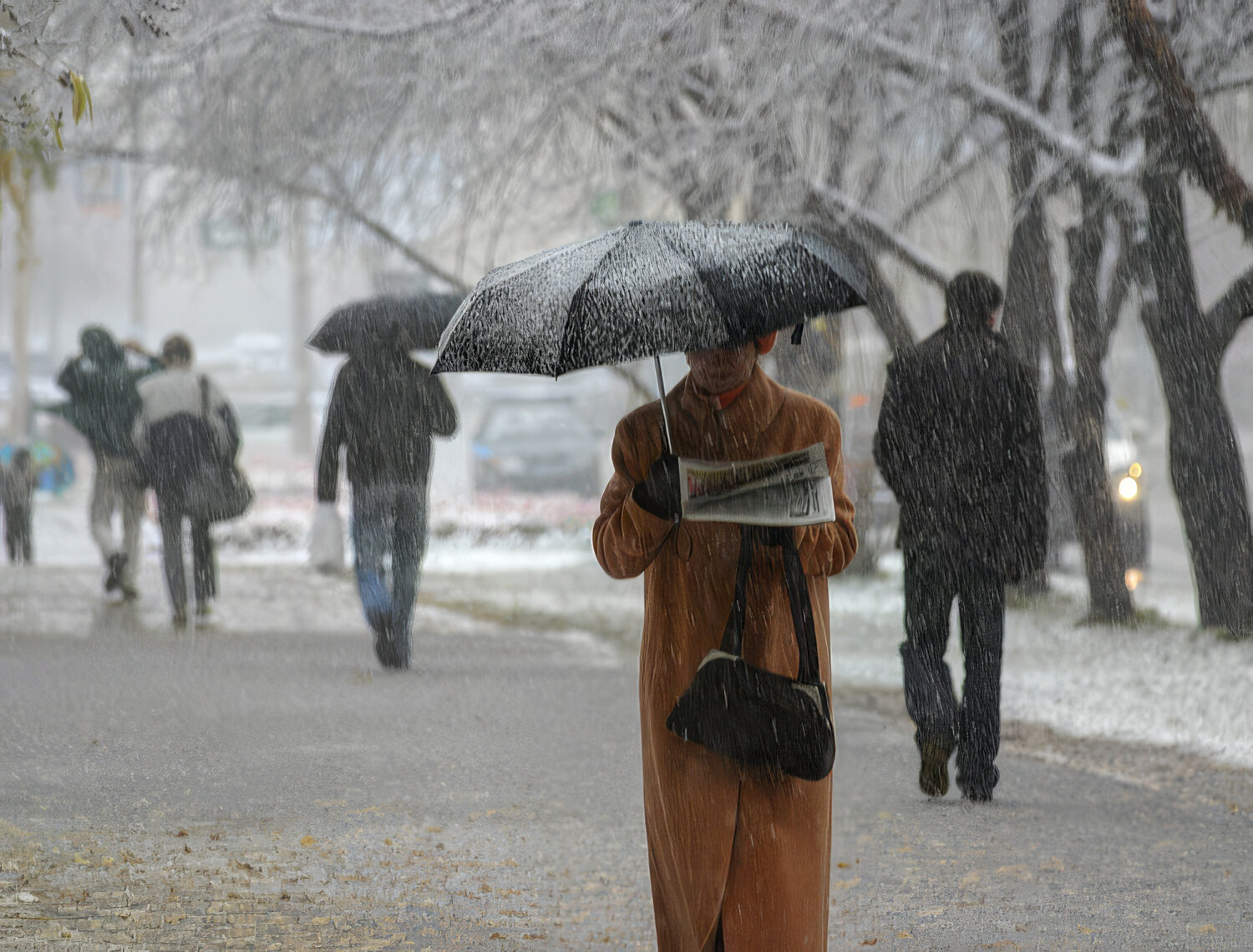 Photo #14216352