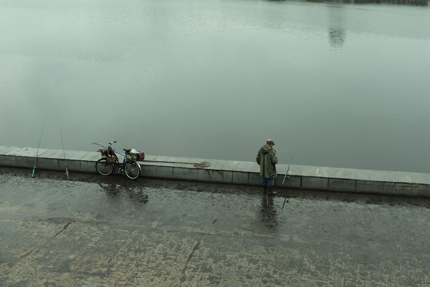 Photo #14216819