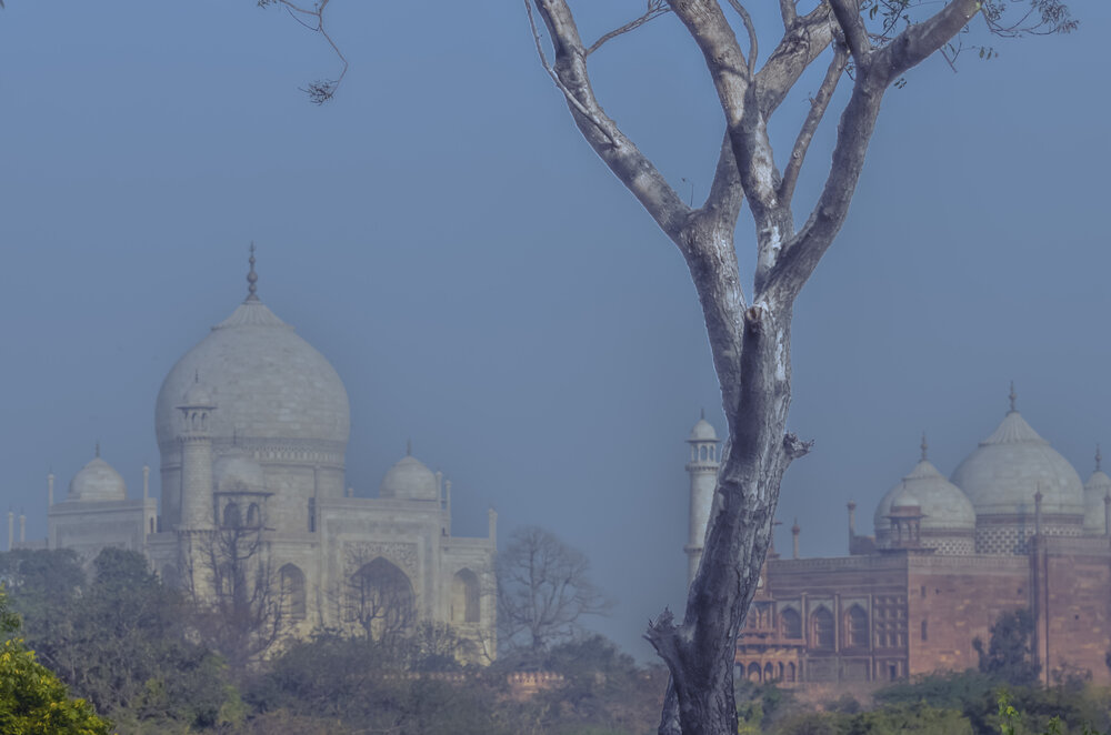 Taj in middle October