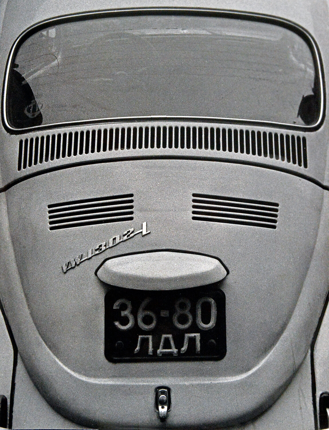 Гер Фольксваген (портрет)