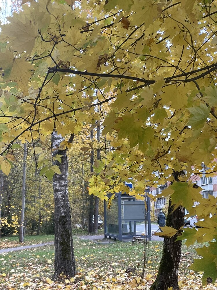 Осенний день в Подмосковье