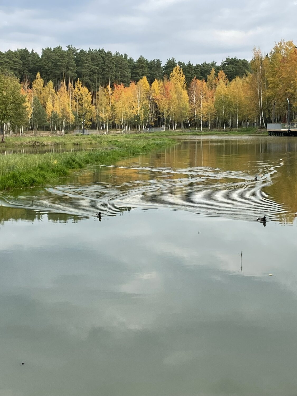 Осень в Подмосковье
