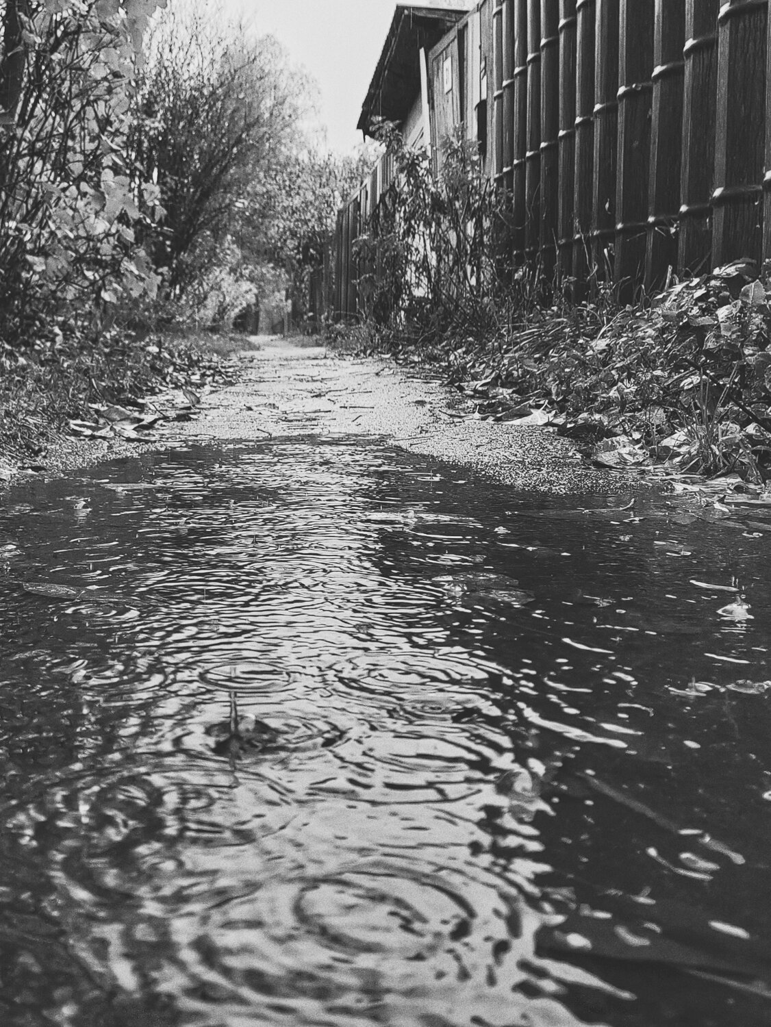 Photo #14217605