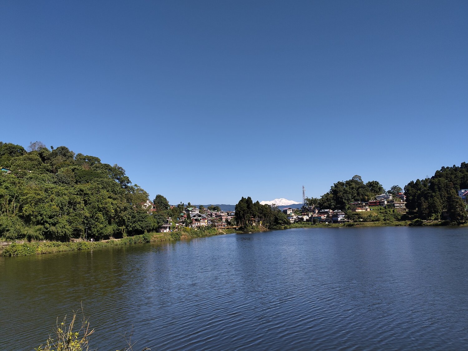 Photo #14218269
