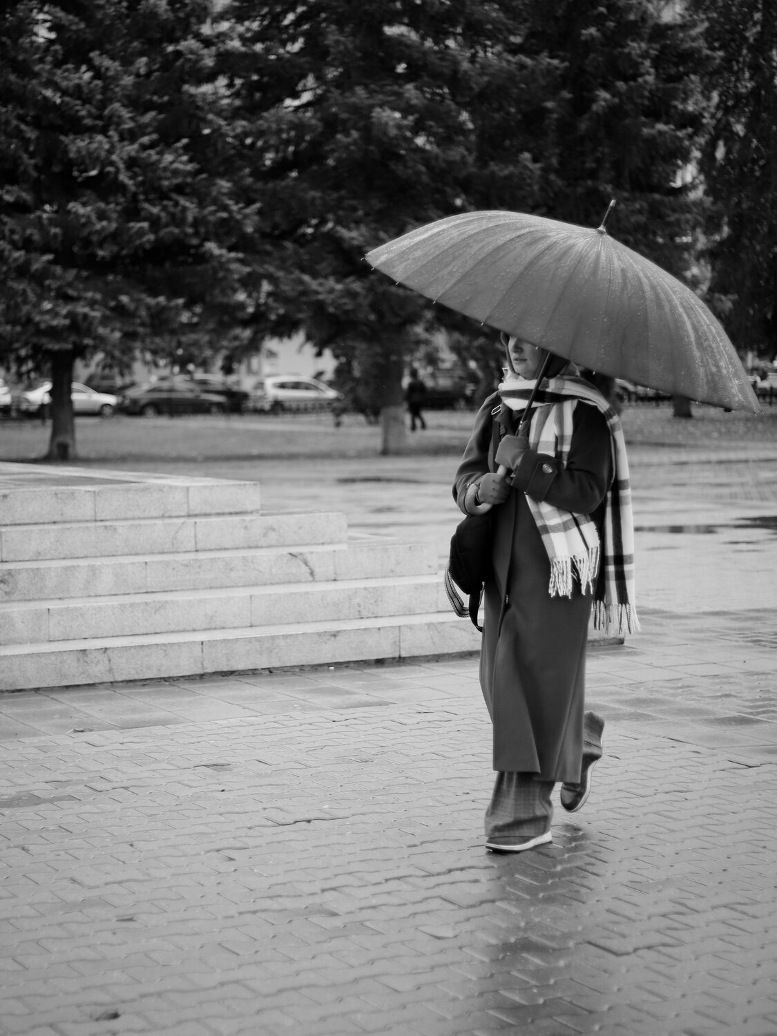 Photo #14218303