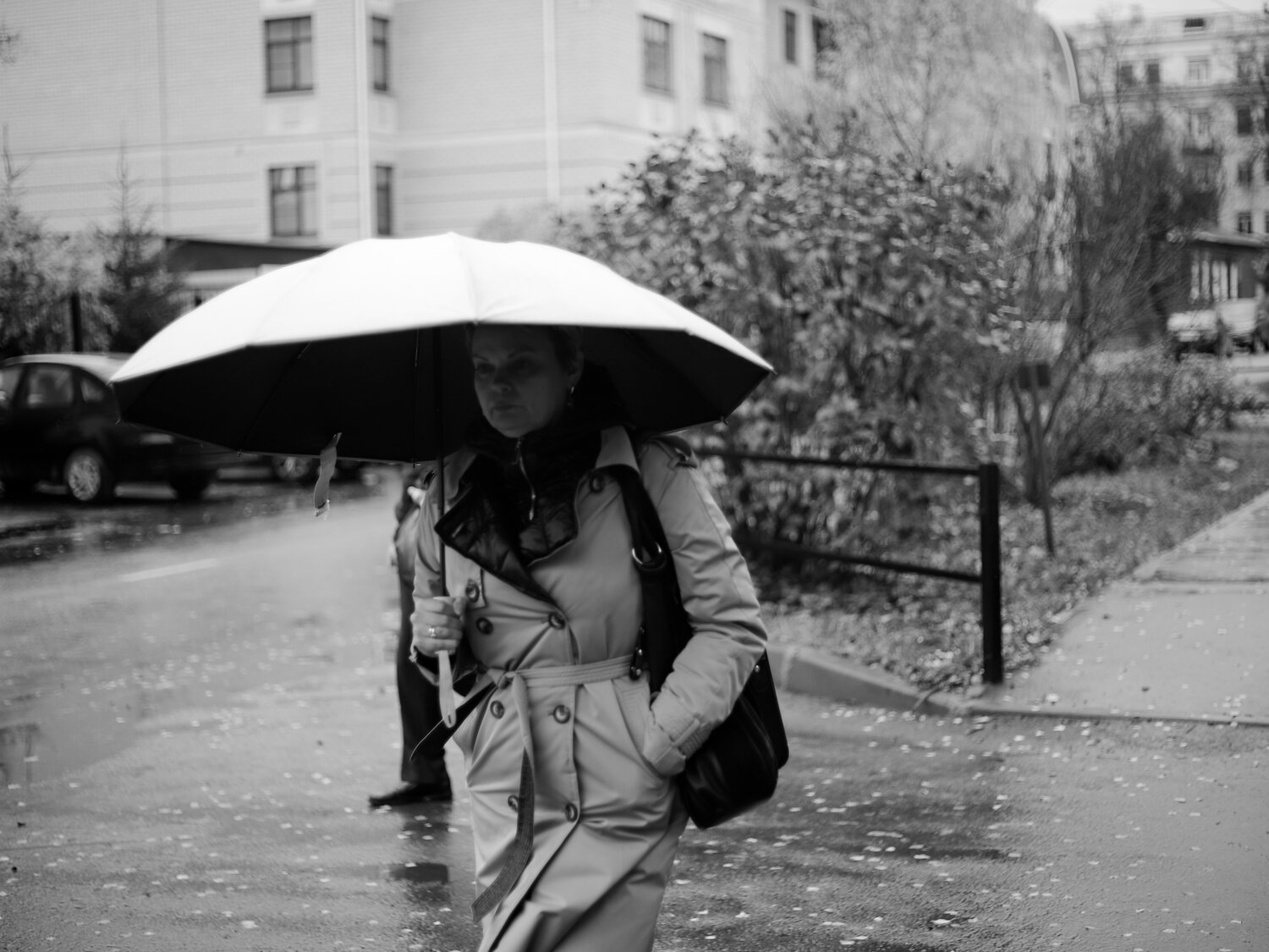 Photo #14218304