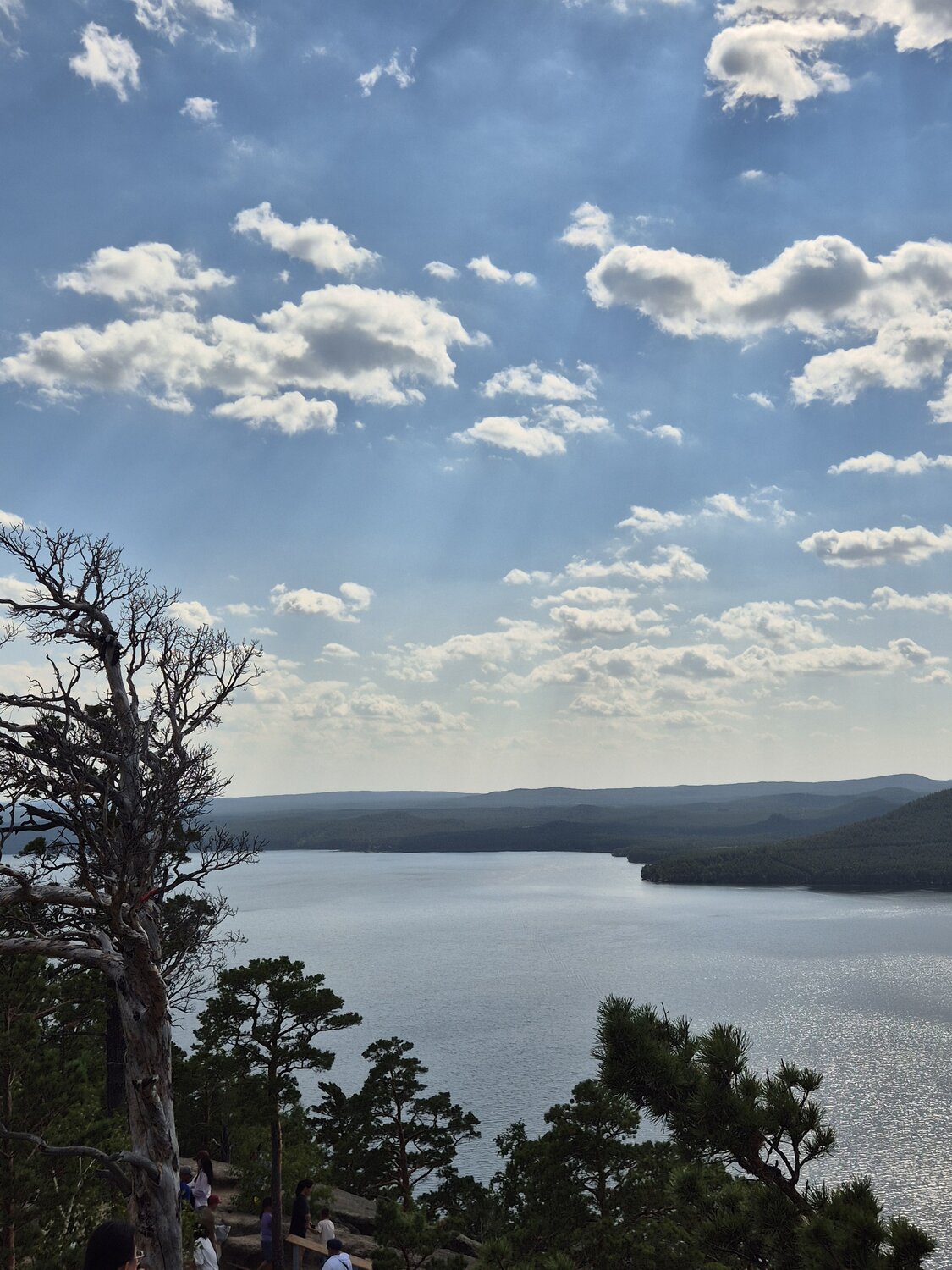 Photo #14218645
