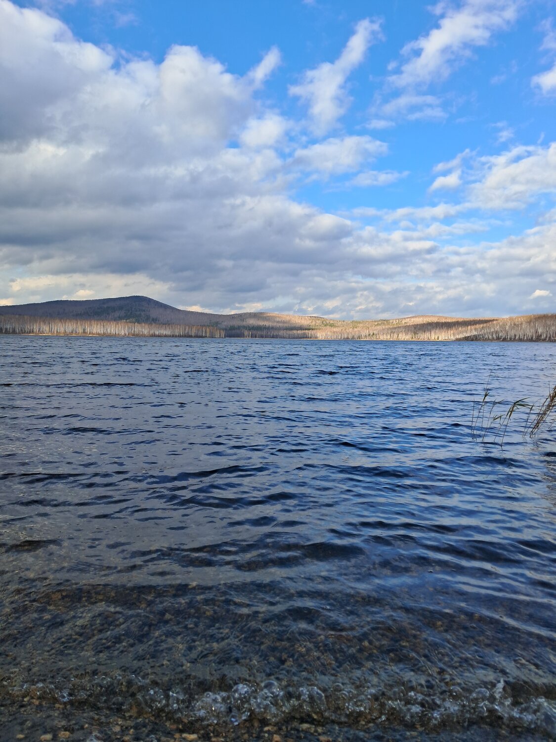 Photo #14218890