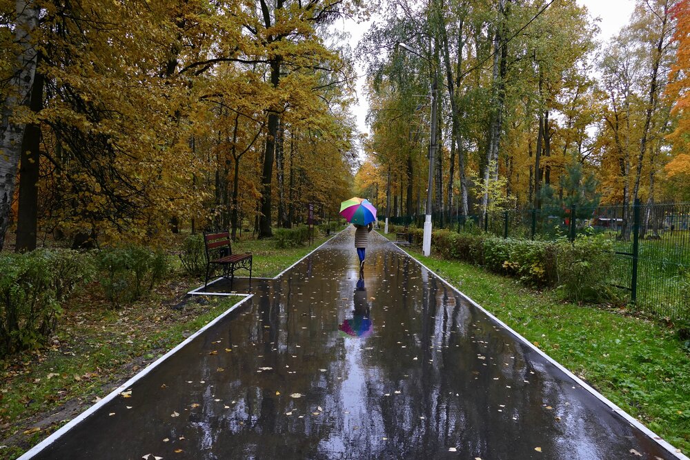 В городском парке