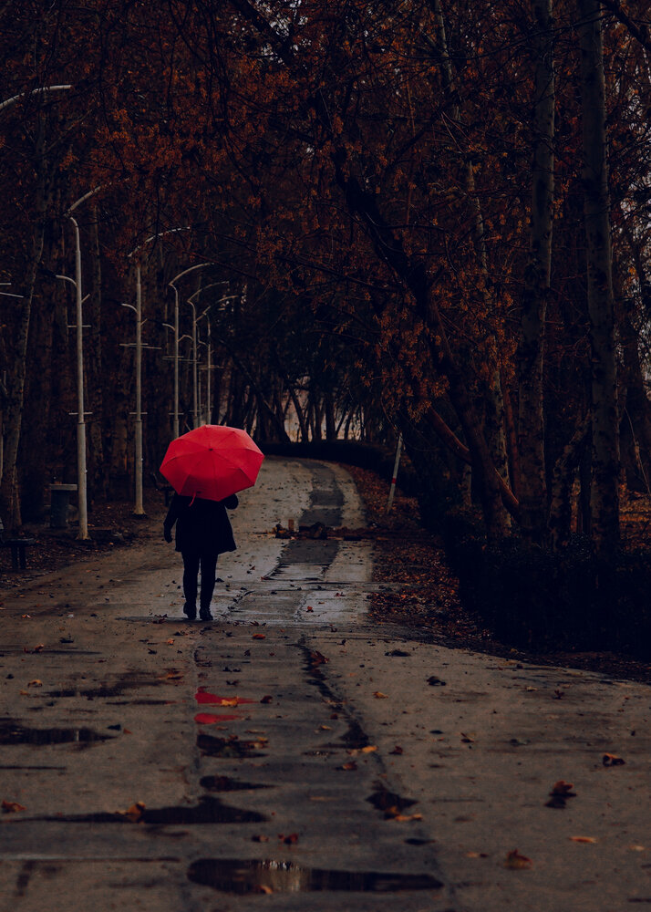 Photograph by kamran shirani