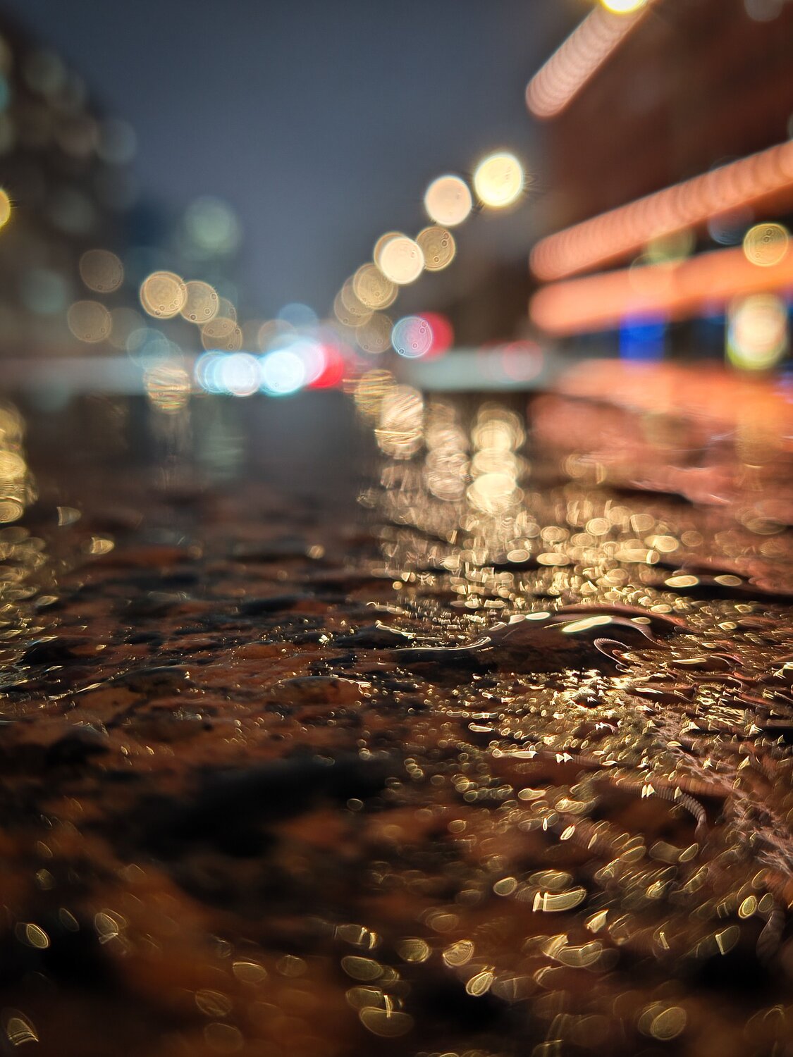 Photo #14219460
