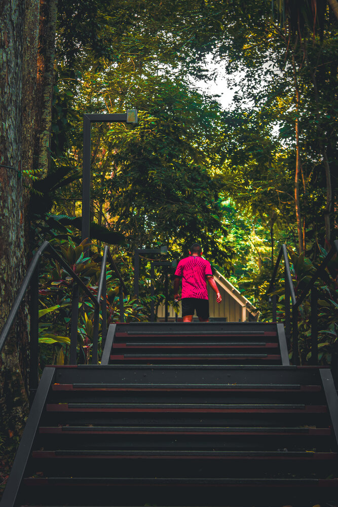 Into the Green