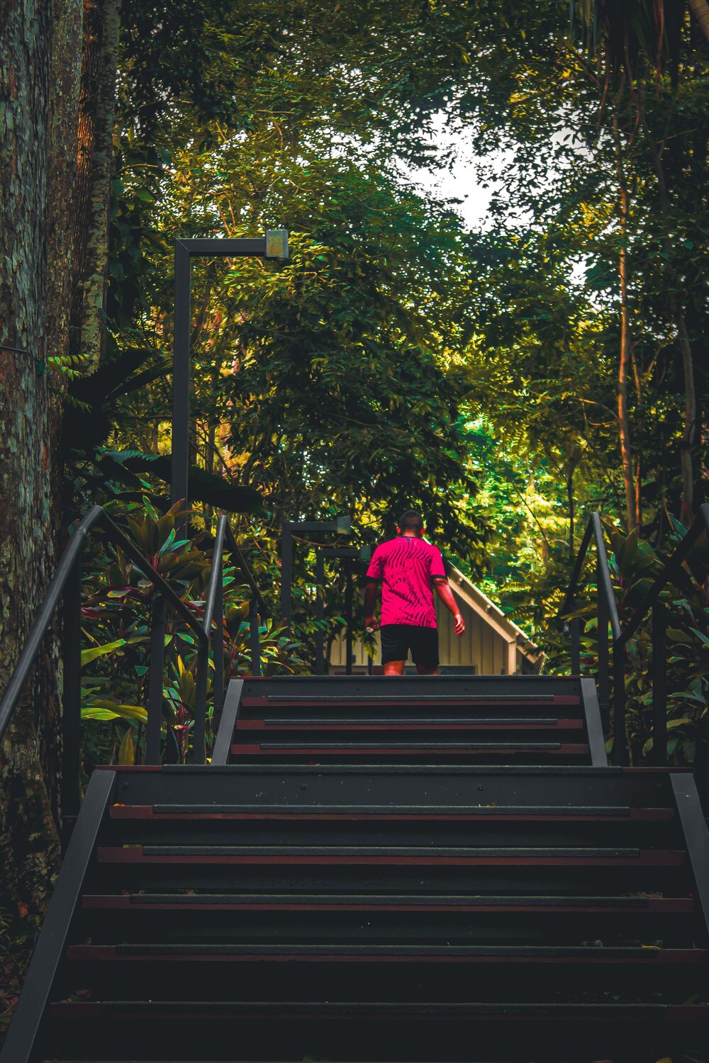 Into the Green