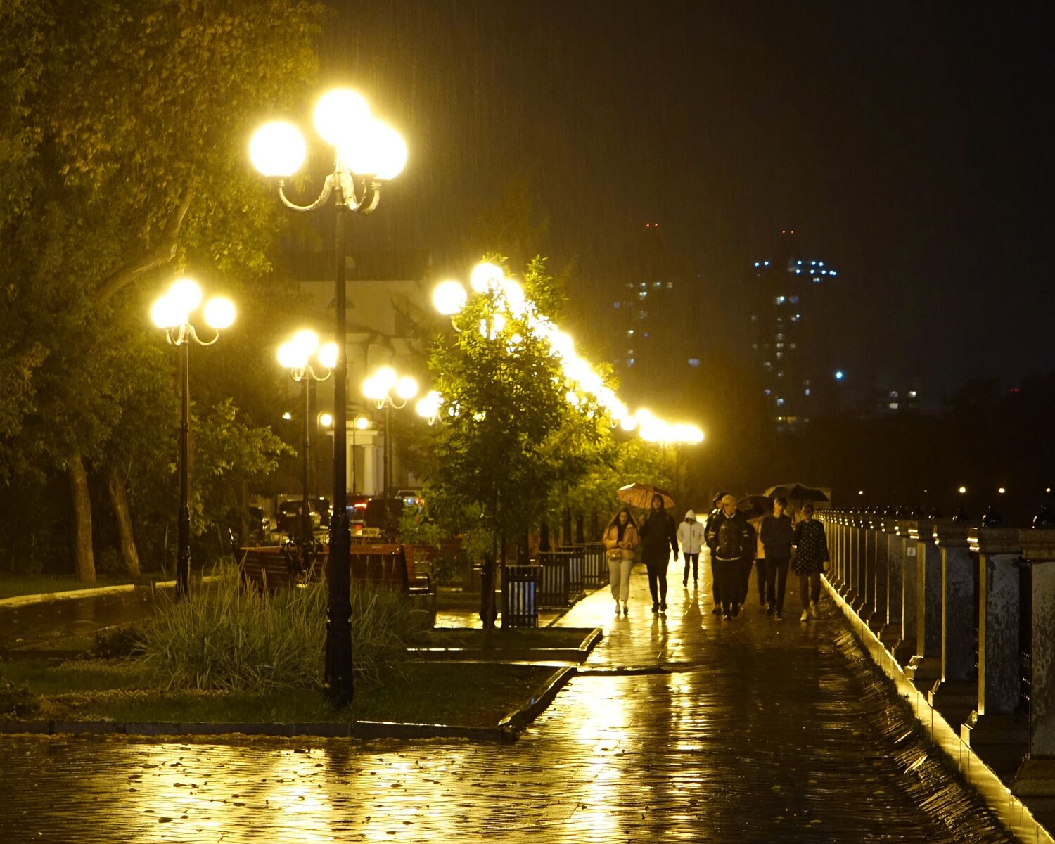 В  СВЕТЕ  ФОНАРЕЙ…