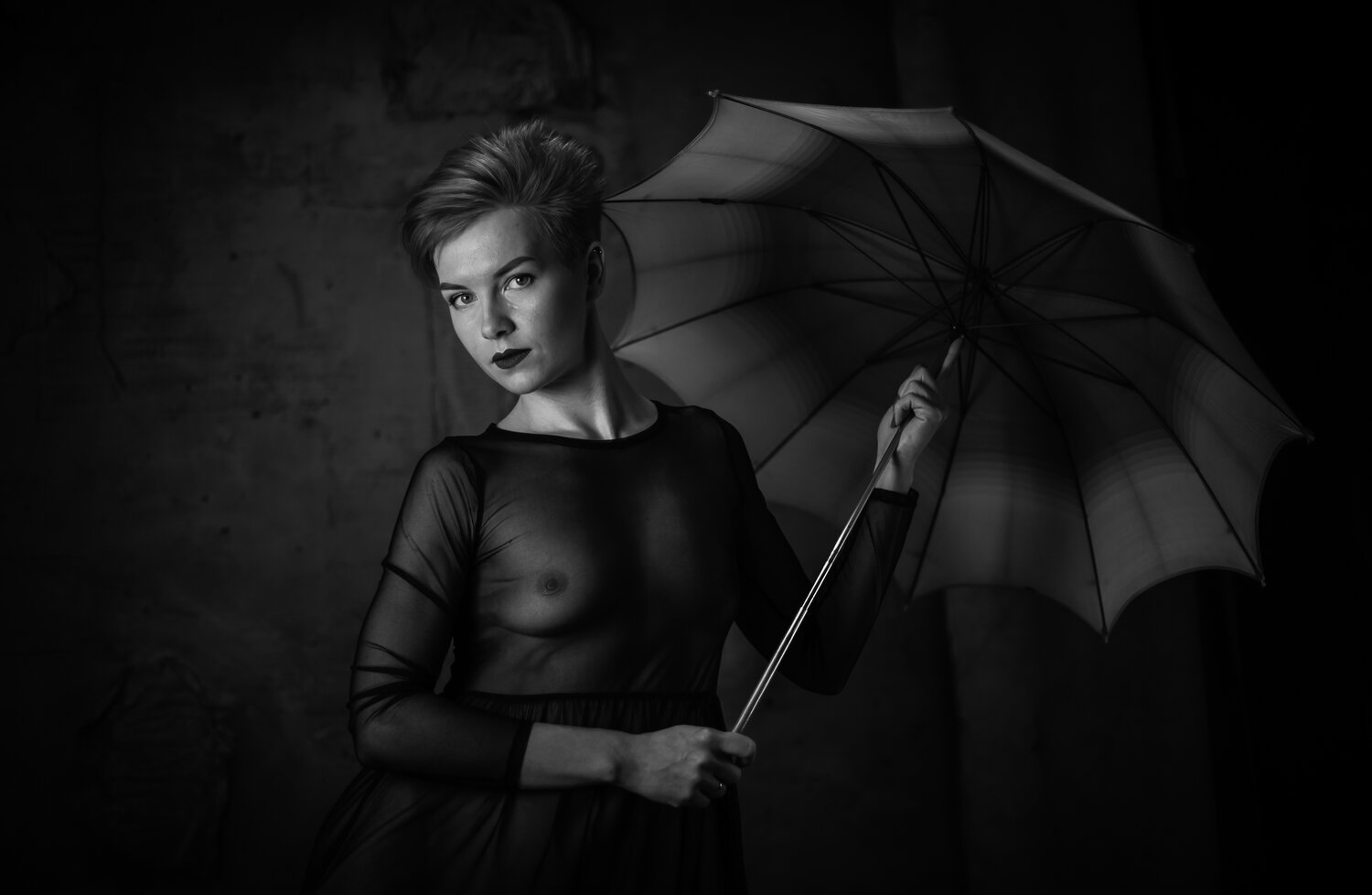 Фотография #14220286