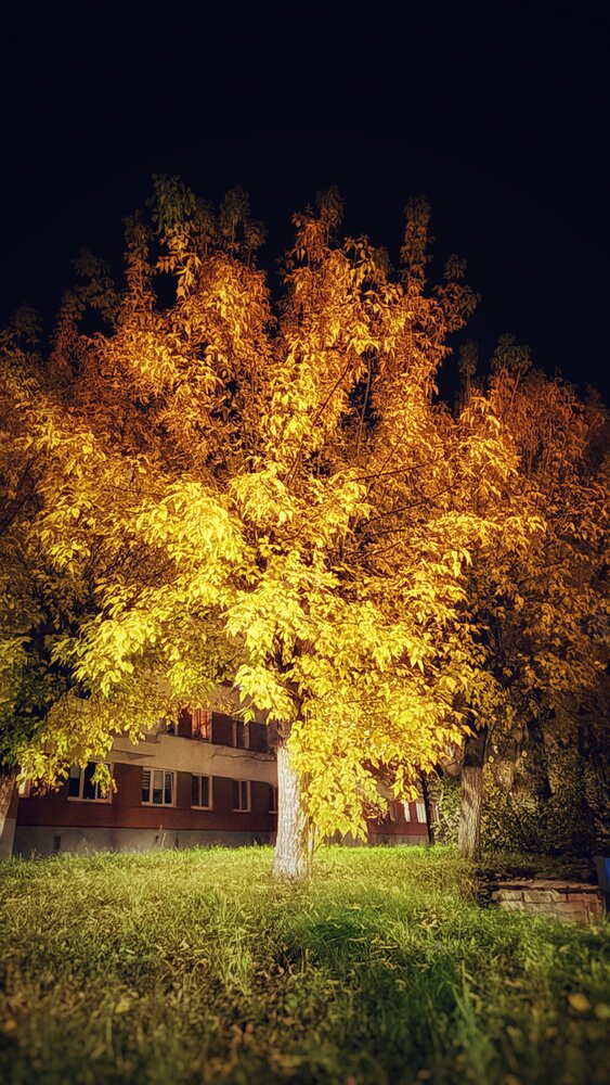 Красота осени
