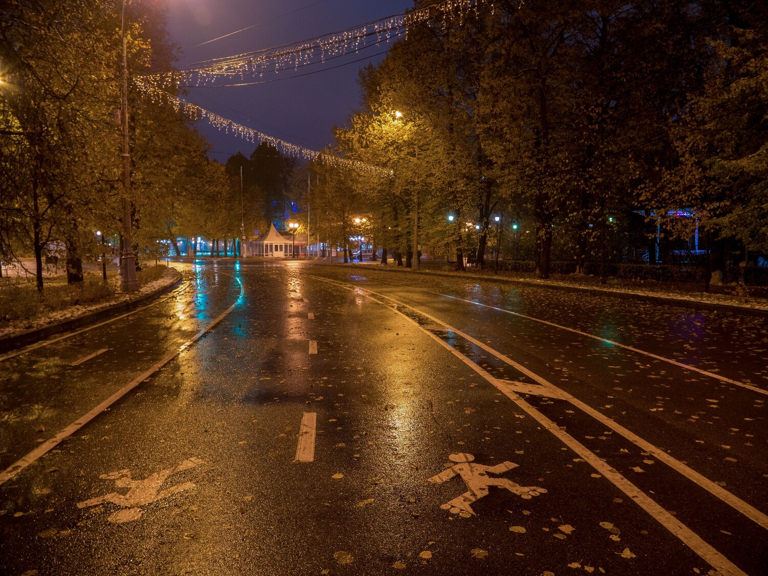 Photo #14220571