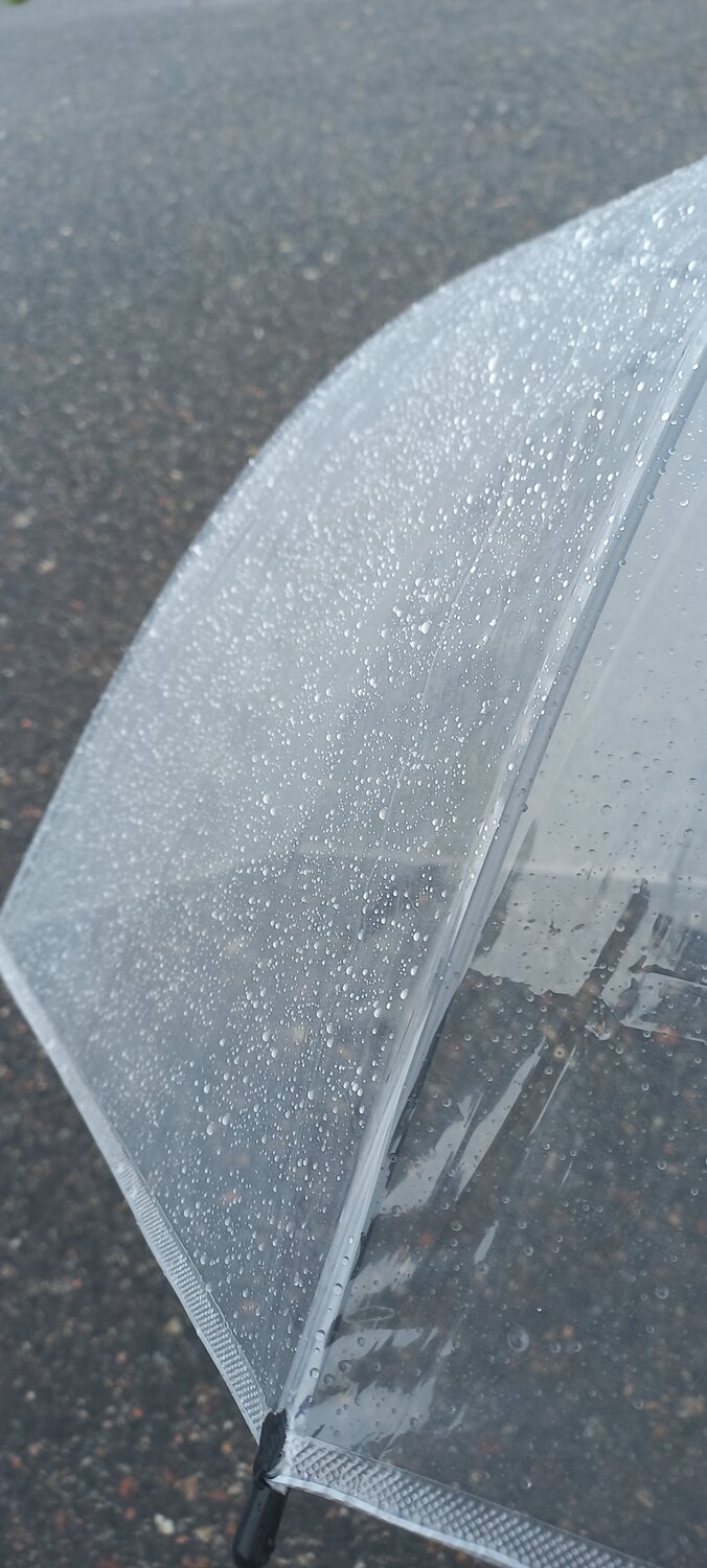 Photo #14220729