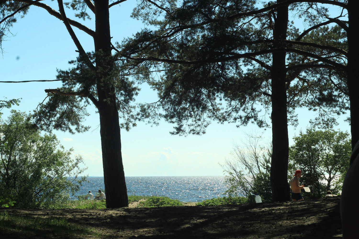 Photo #14220980