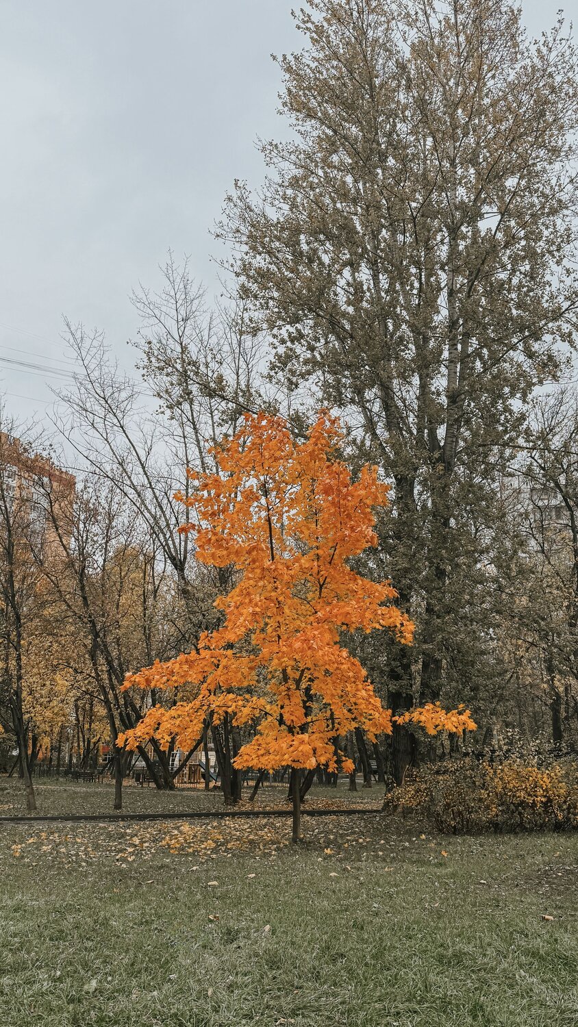 Photo #14221145