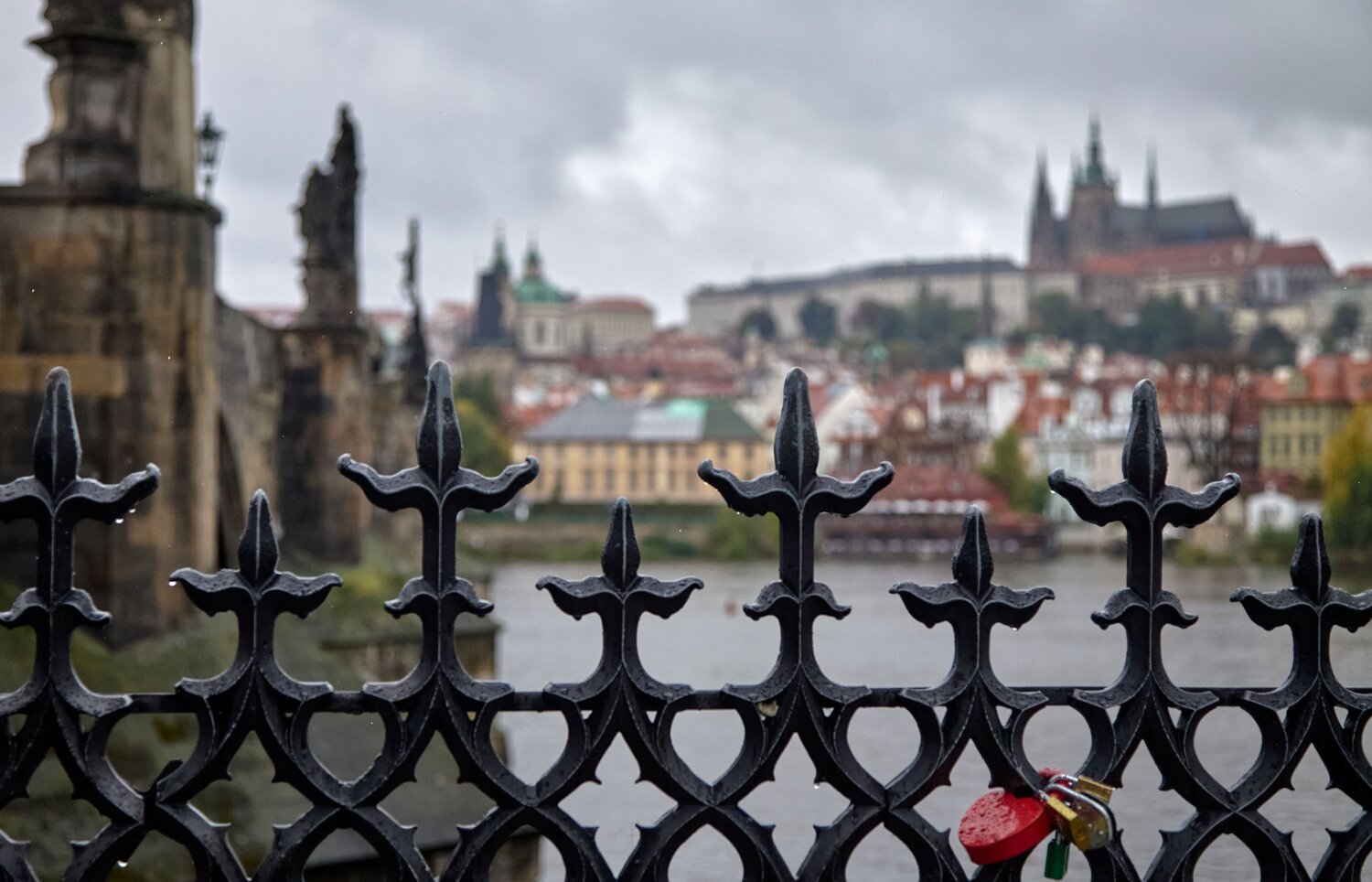 Photo #14221246