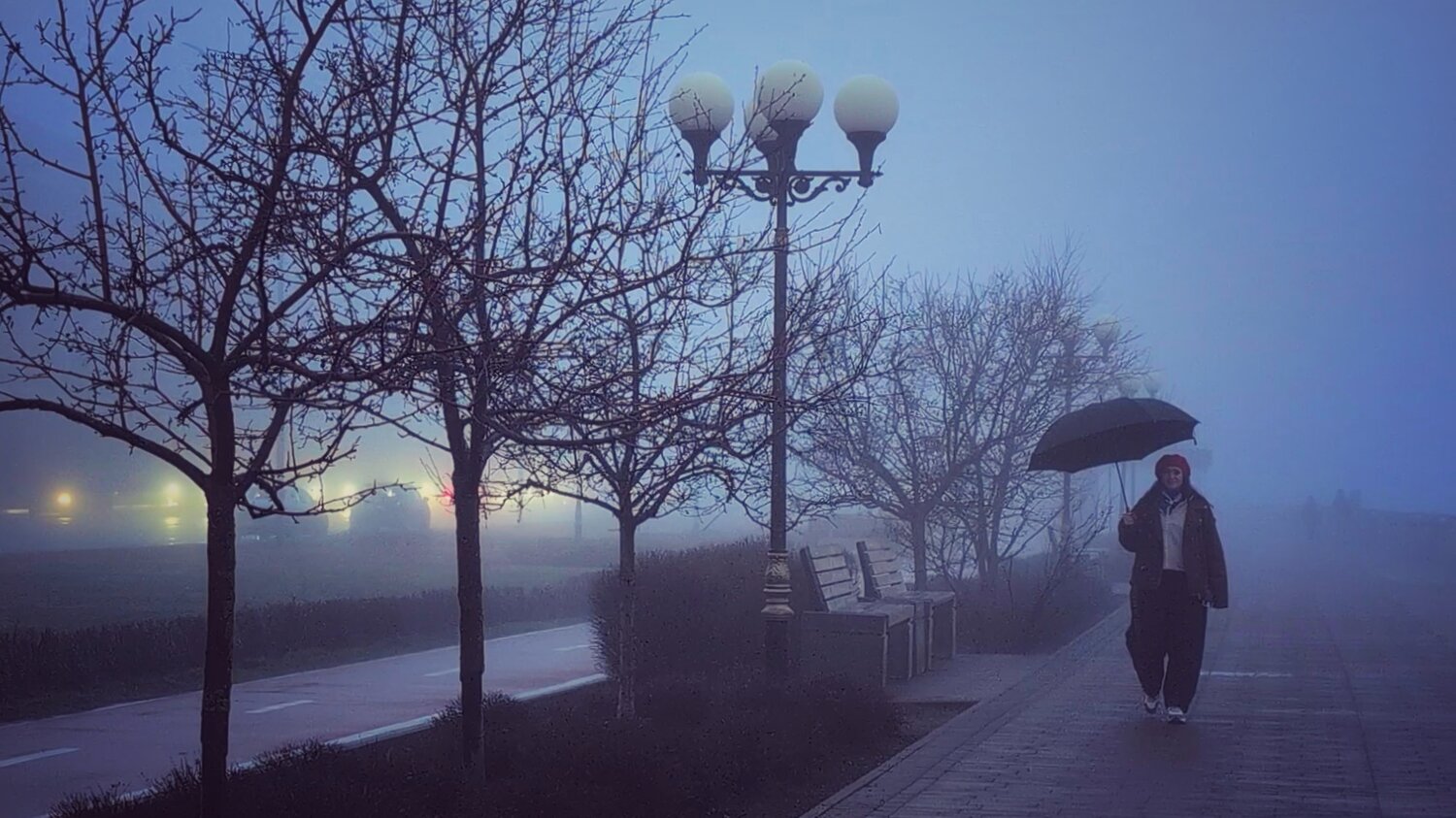 Photo #14221319