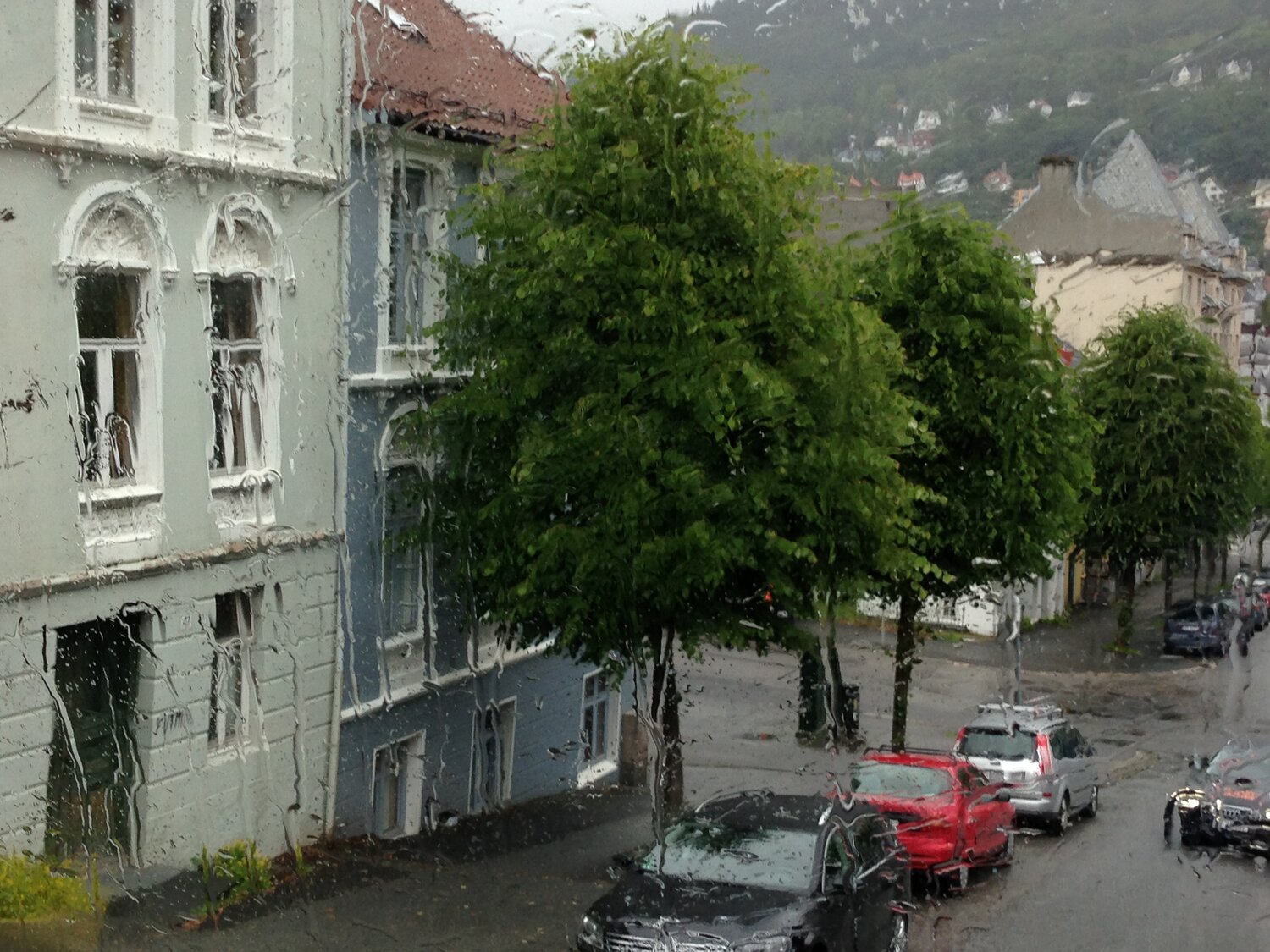 Photo #14221534